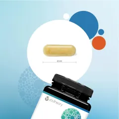 کپسول آشواگاندا Youtheory Ashwagandha 7200 میلی‌گرم، 60 عددی - تصویر 9