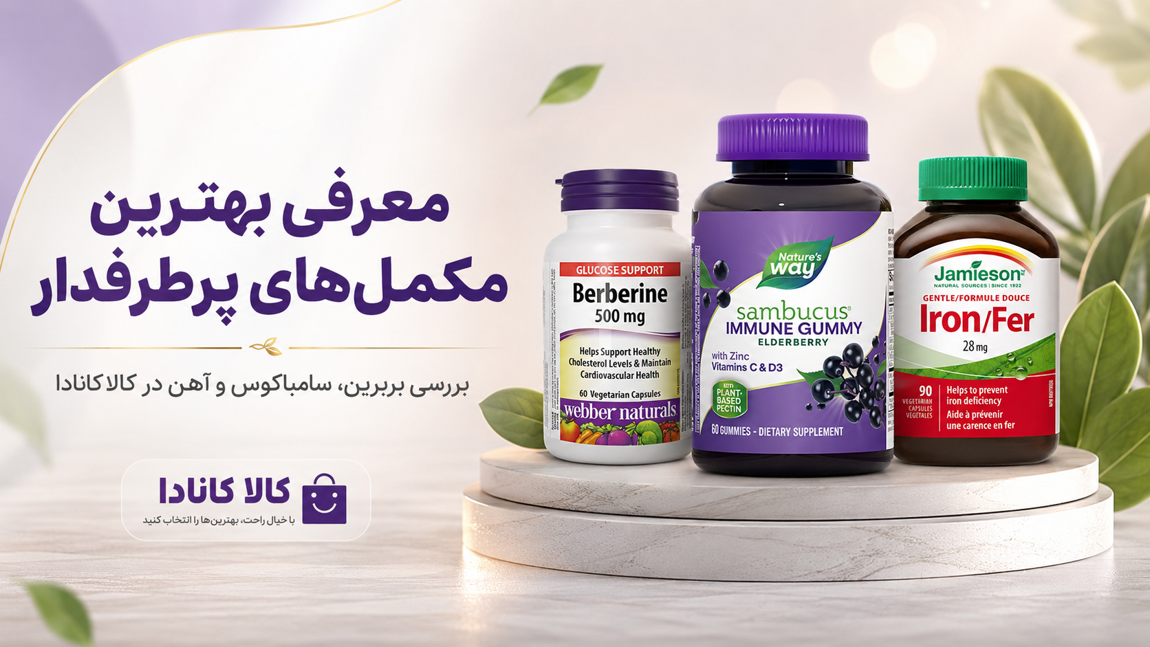 بهترین مکمل‌های کانادایی برای روتین روزانه بدن